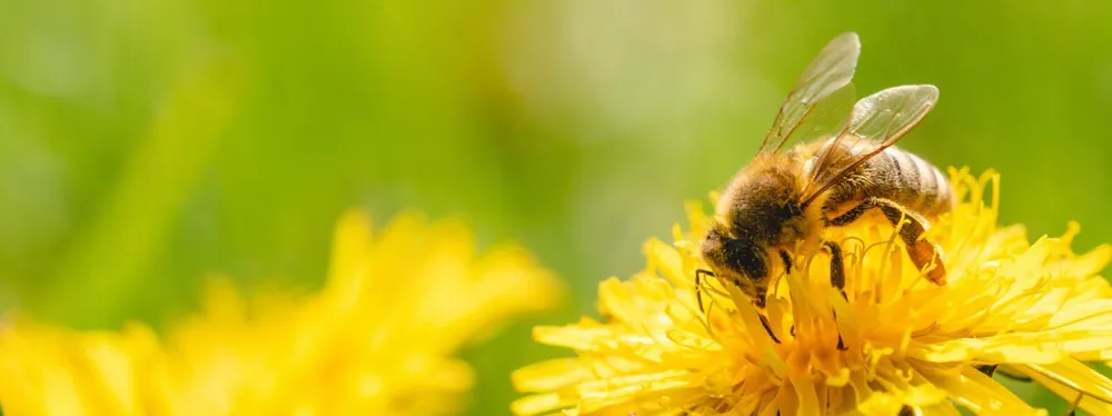 rolety na wymiar krynica zdrój